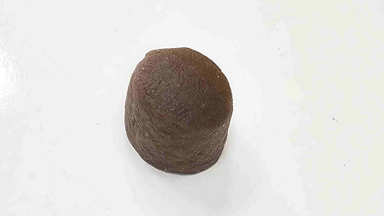 鱼饲料颗粒样本，展示了营养溶液在混合和喷涂过程中对均匀性的要求。