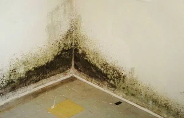 Chân tường bị thấm ẩm, bong sơn và nổi mốc cần chống thấm