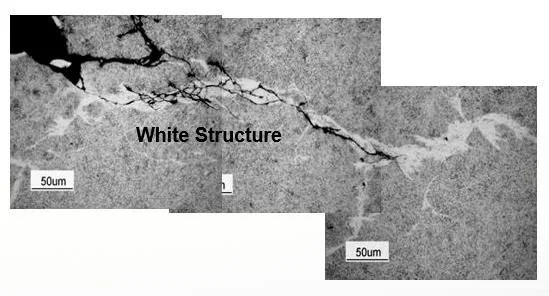 Vùng white structure quanh mạng nứt WEC