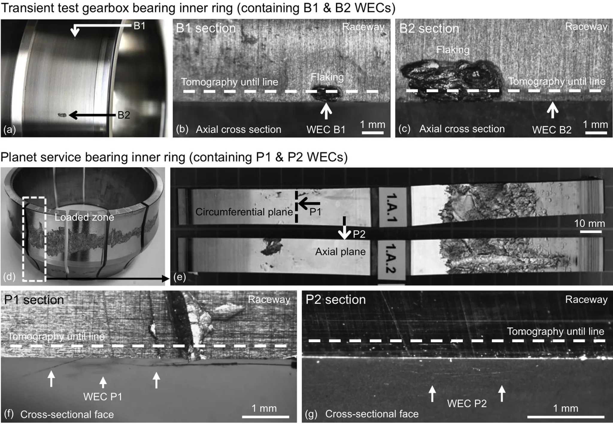 Tổng quan mẫu vòng bi và vị trí xuất hiện WEC